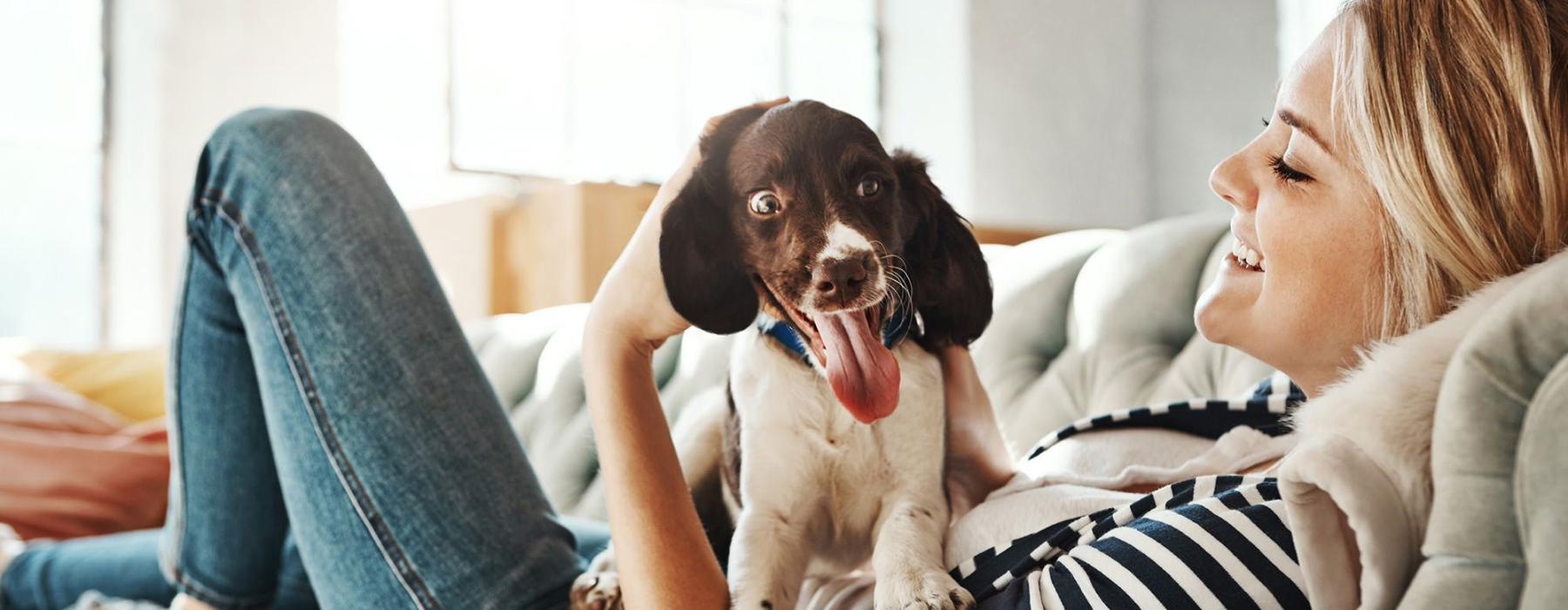 woman lies on a couch and pets her dog